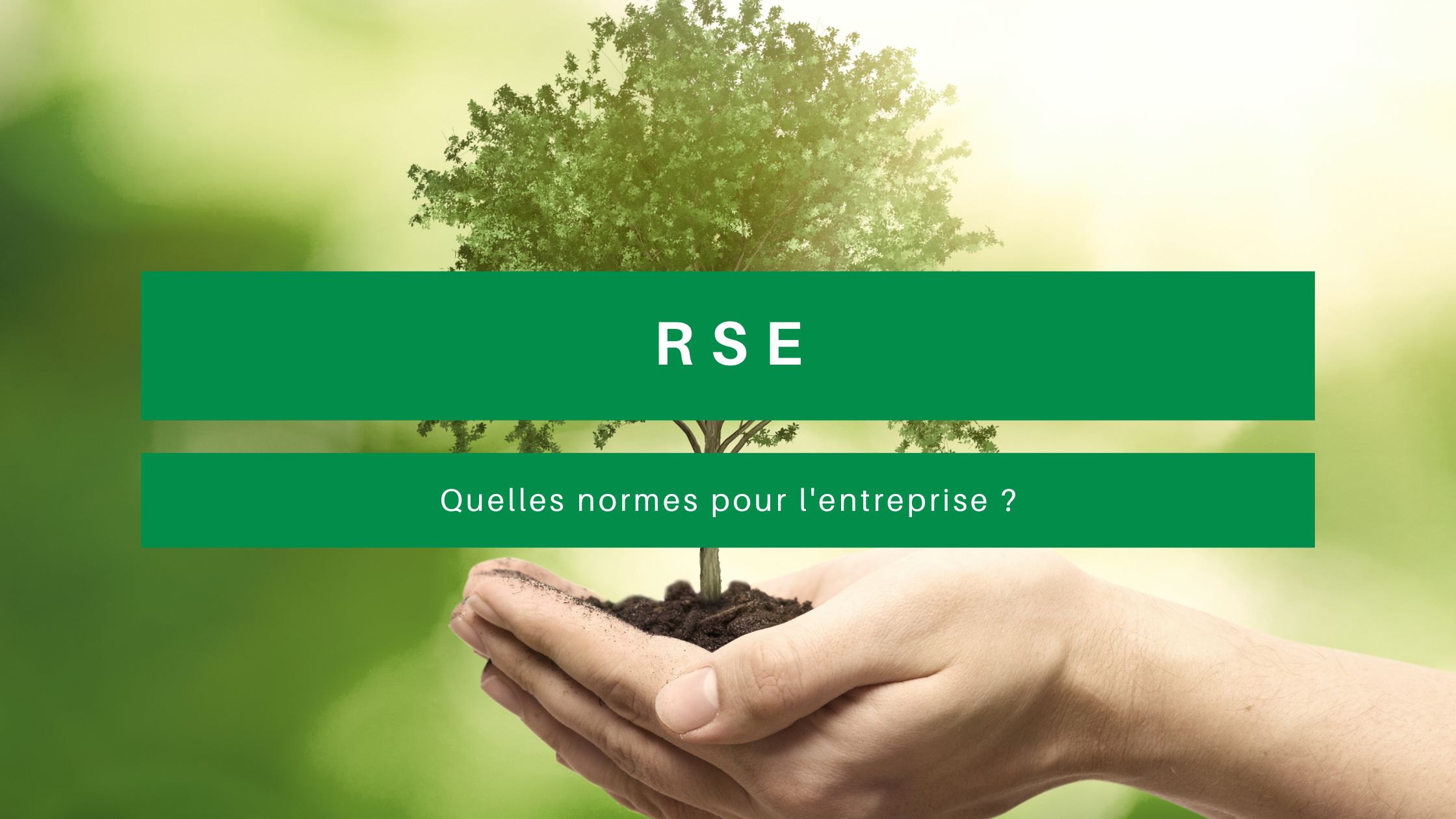 RSE quelles normes pour l'entreprise
