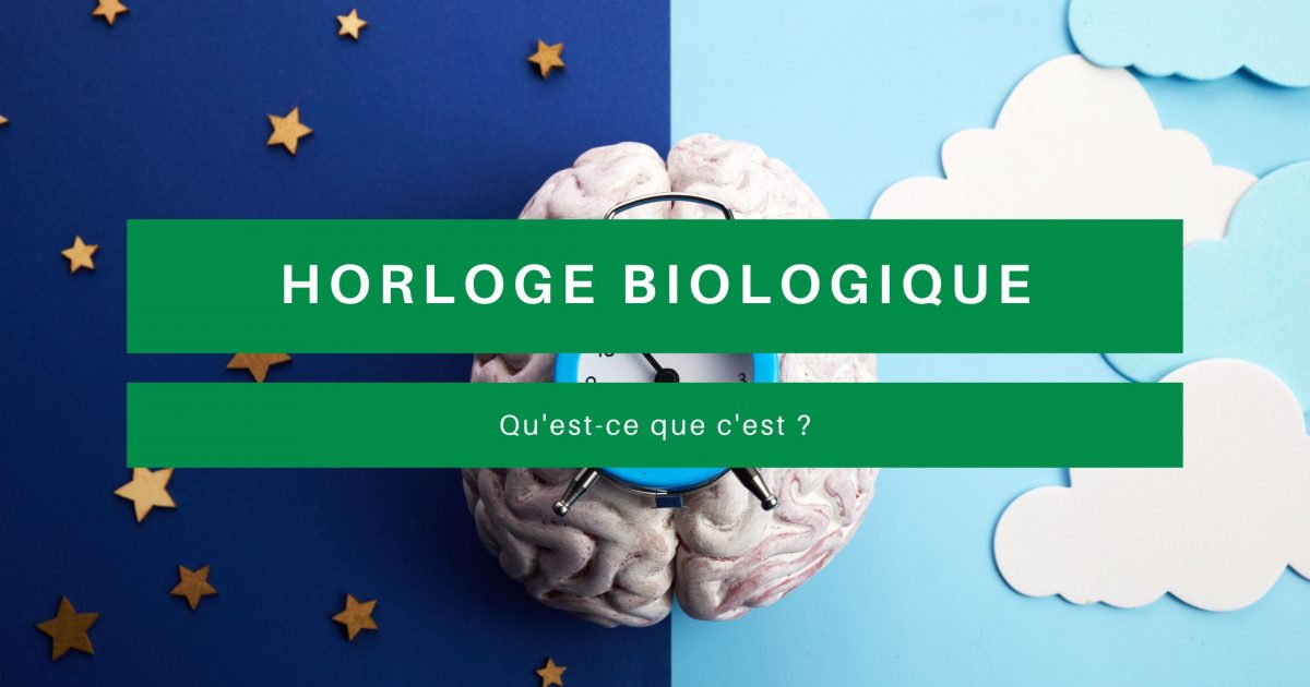 horloge biologique
