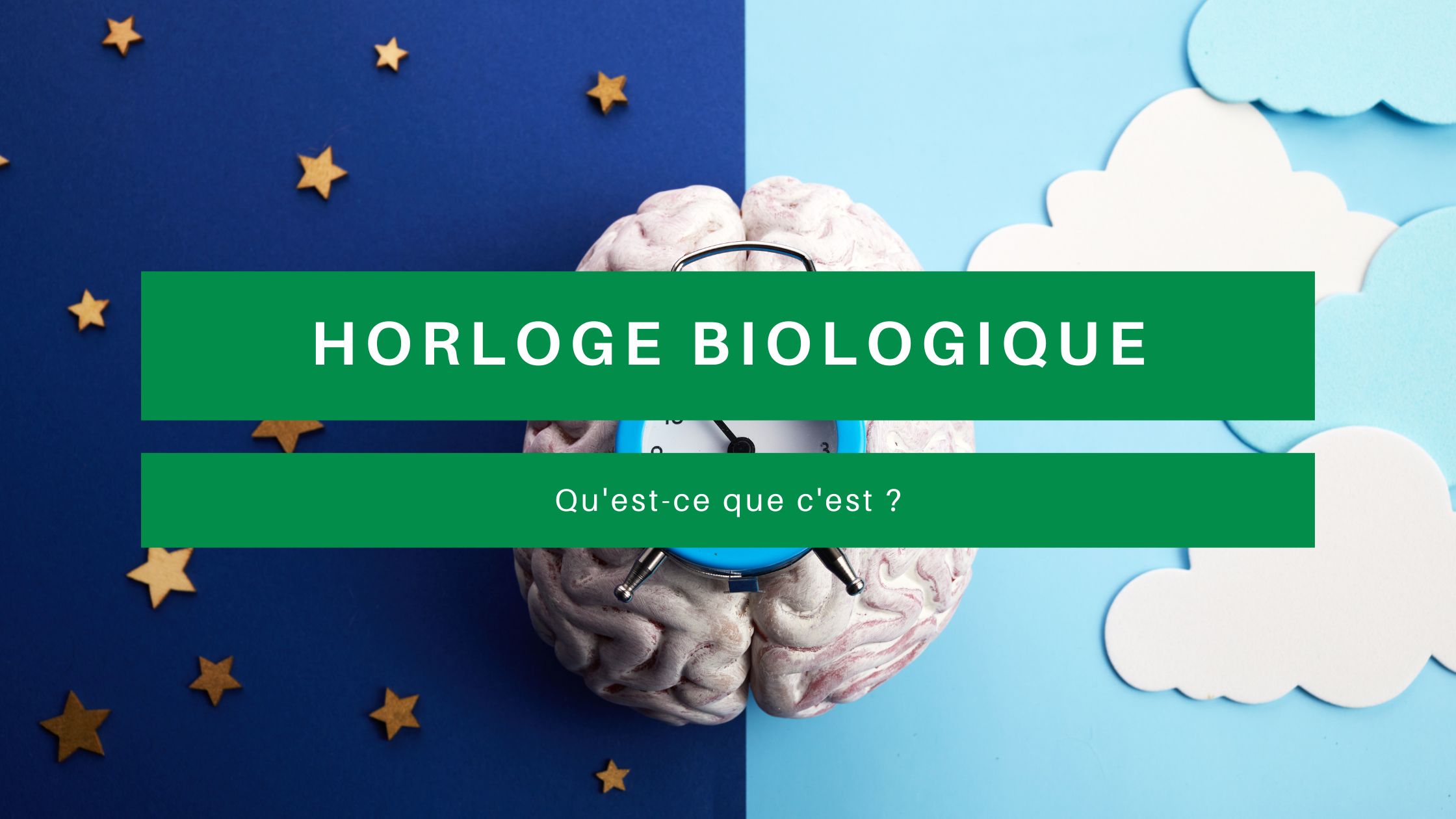 horloge biologique