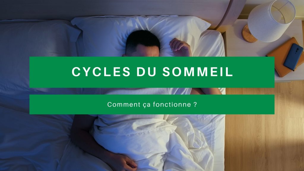 cycles du sommeil