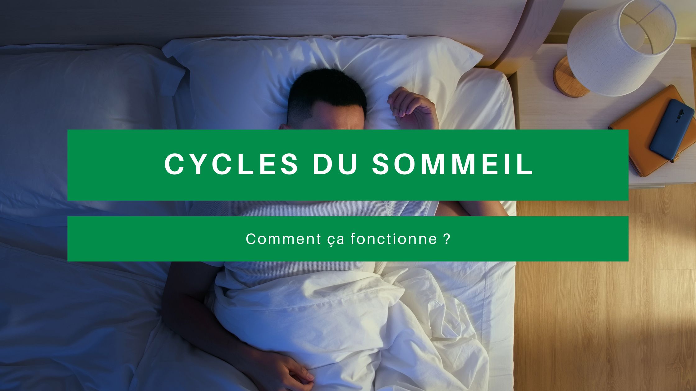 cycles du sommeil