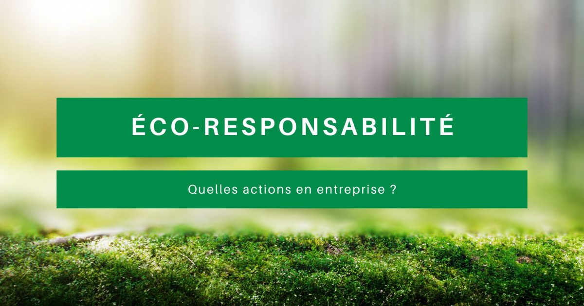 éco responsabilité entreprise