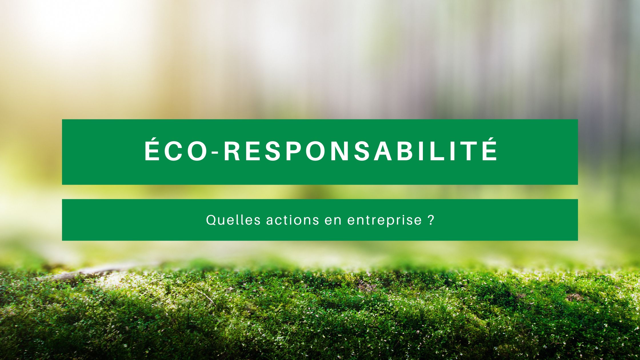 éco responsabilité entreprise