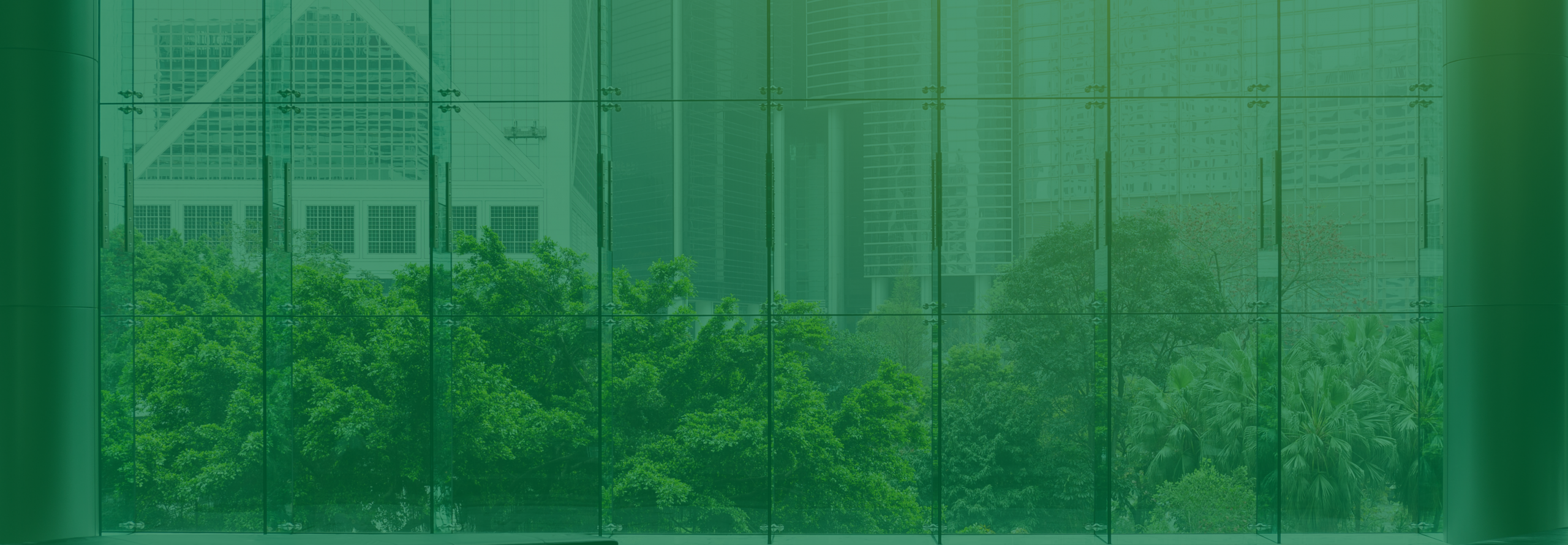 Privilégier la lumière naturelle